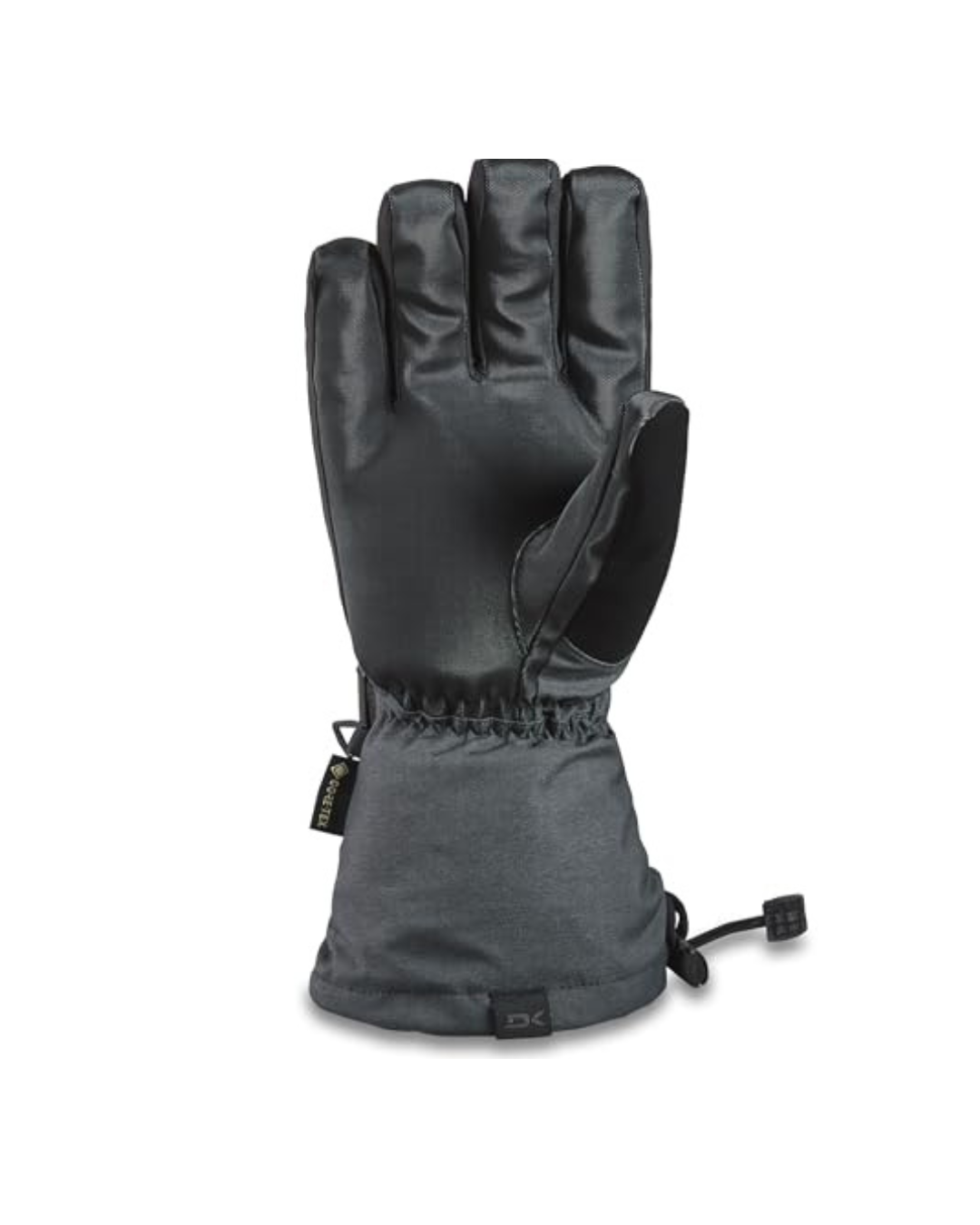 Dakine Titan Gore-Tex Gloves - Carbon